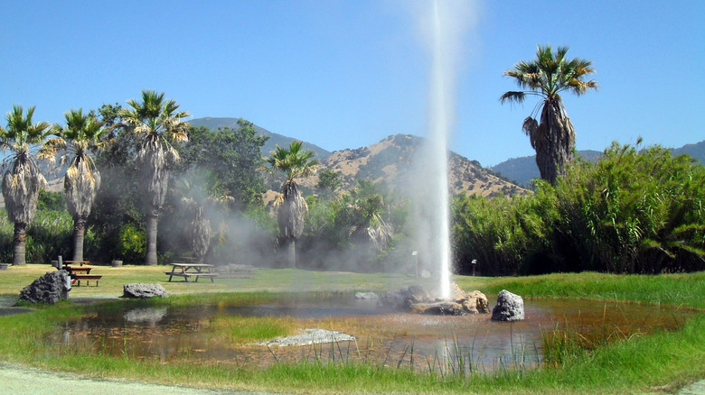 Geyser, Calistoga