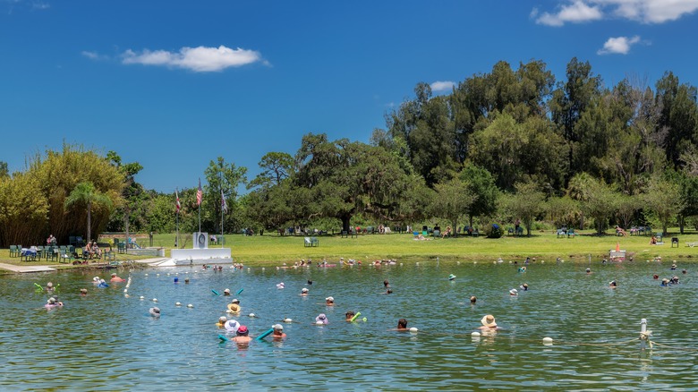 People soaking in Warm Mineral Springs Park