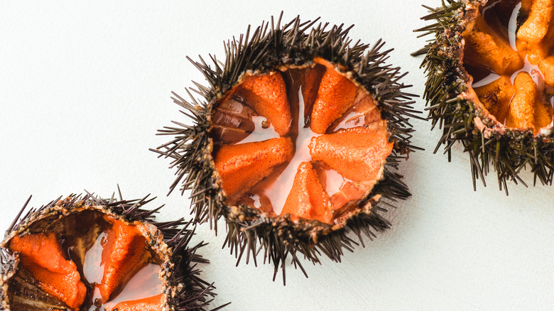 sliced raw sea urchins