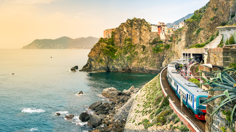 train on cliff by sea