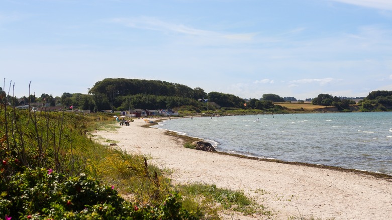 Beach on Ærø island