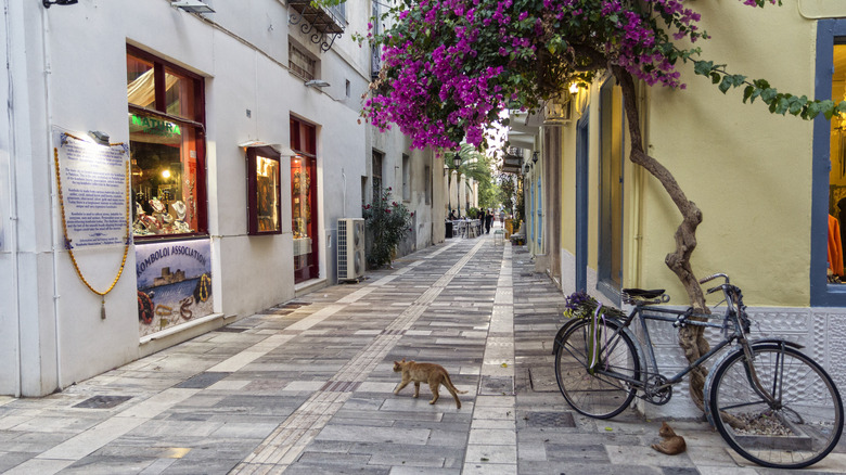 quiet street with pink tree