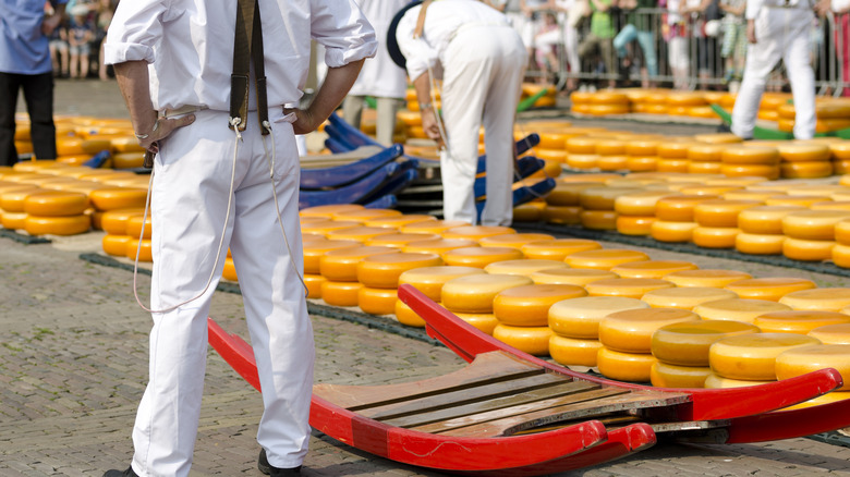 Alkmaar cheese market carrier