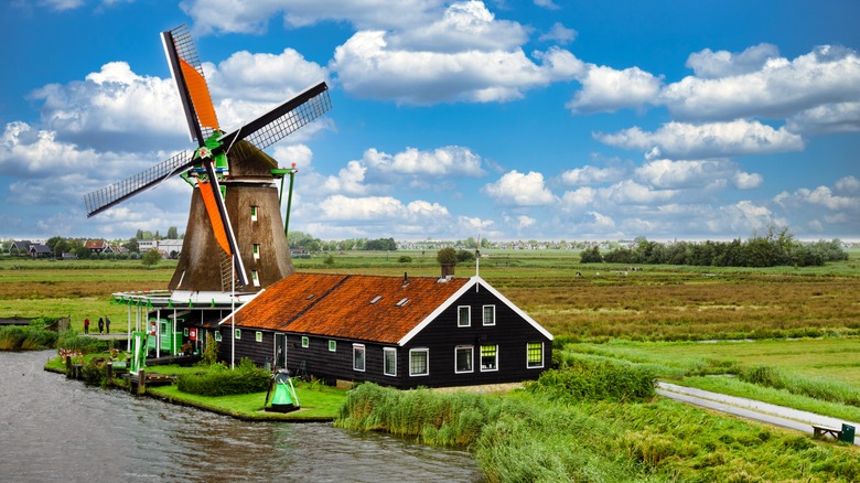 Zaanse Schans windmill fields daytime