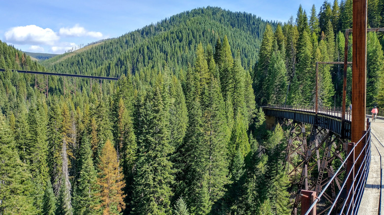 Trestle on Hiawatha Trail