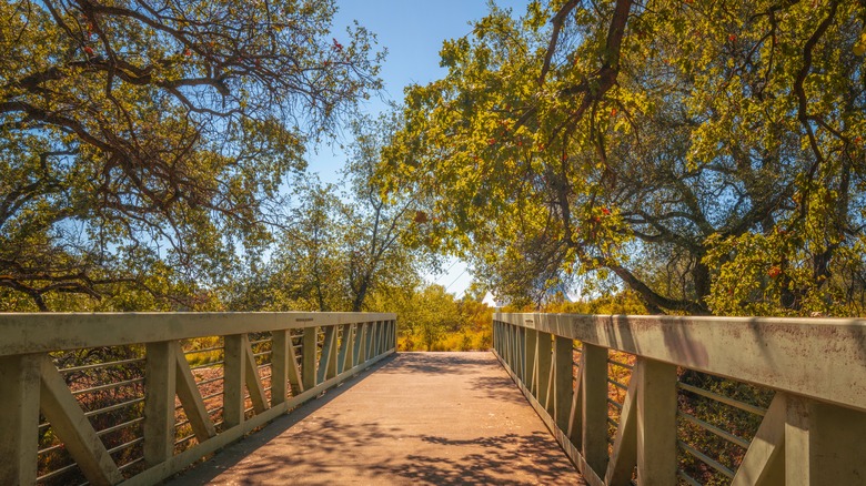 Bridge on Sacramento River Trail