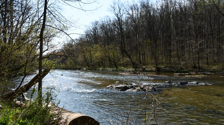 Gunpowder Falls State Park stream