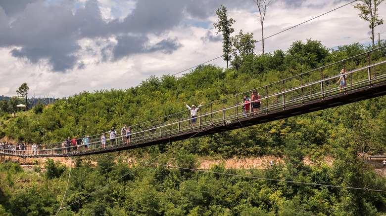 Crossing the SkyBridge in the Smoky Mountains National Park