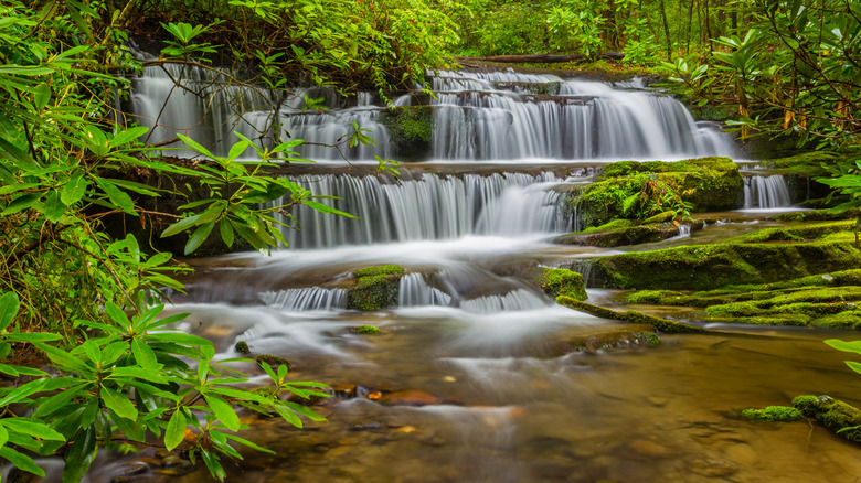 Little Pigeon River with waterfall