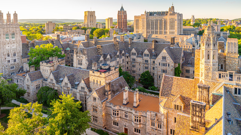 aerial view of Yale