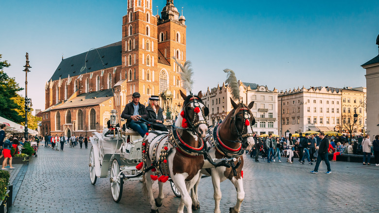 Horse at Old Town Square, Krakow