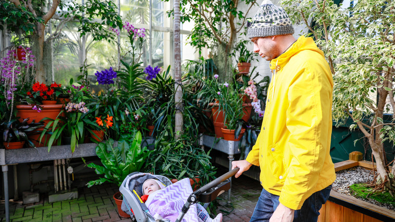 Father and baby in conservatory
