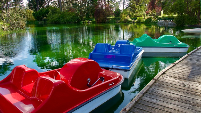 Pedal boat dock Blue Heron Lake