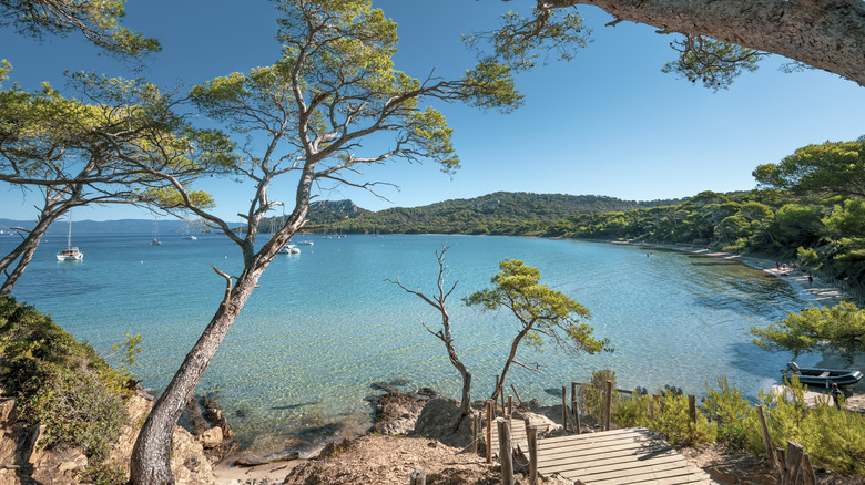 Island of Porquerolles