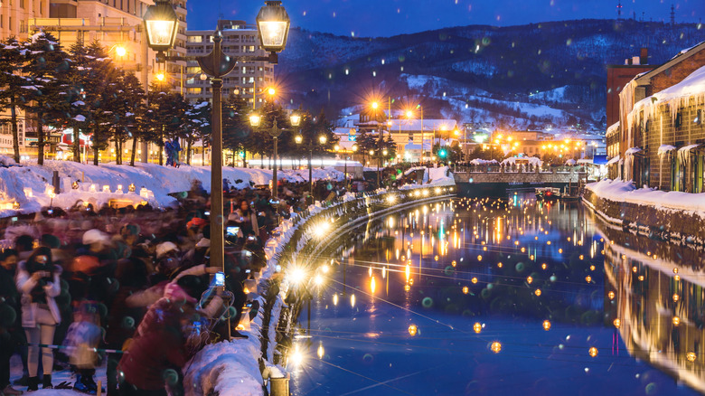 Crowds gather along a light-speckled esplanade in Sapporo