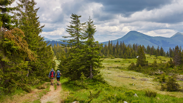 people hiking