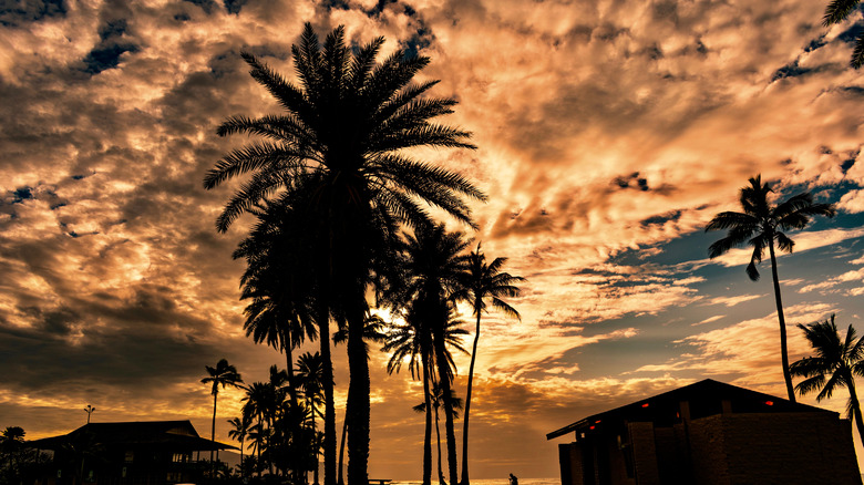 Haleiwa sunset