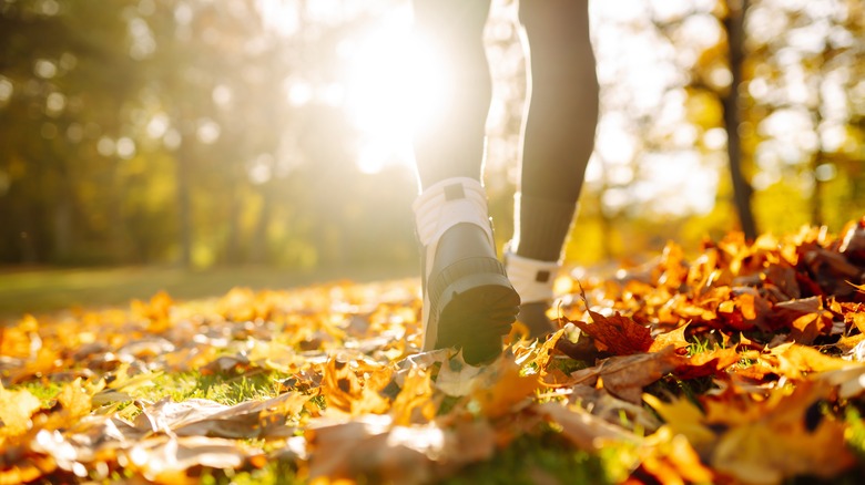 Hiker walking on fallen leaves