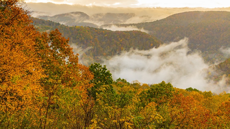 Fall views of Pipestem State Park