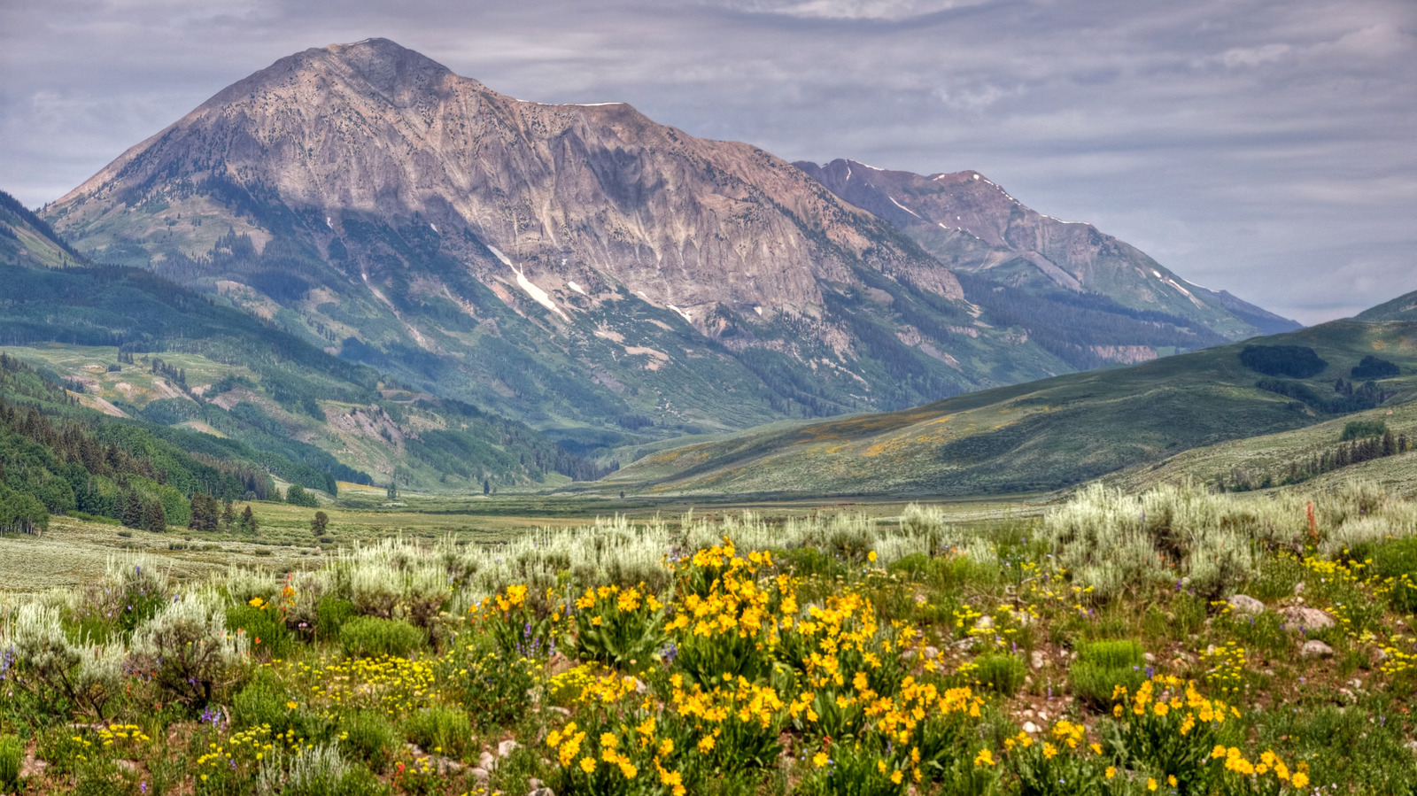 See Why Crested Butte, Colorado Is Known As The Wildflower Capital