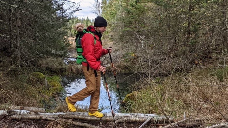 Hiker wearing yellow Crocs