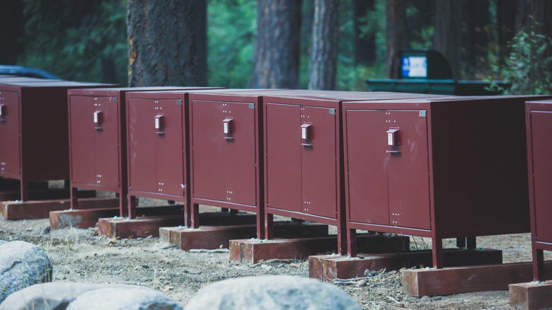 Bear lockers at campground 