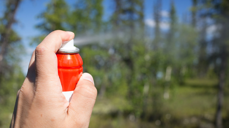 Spraying chemicals outside