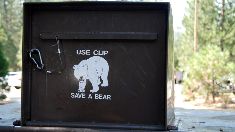 A food safe to protect from bears