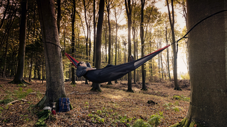 Man camping sleeping in a hammock