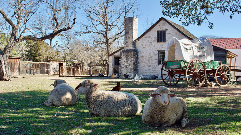 LBJ State Park and Historic Site