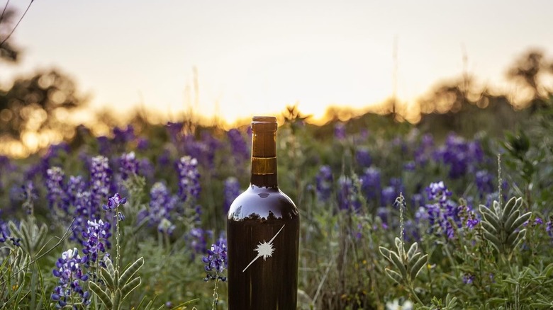 Bottle of Texas wine in bluebonnets