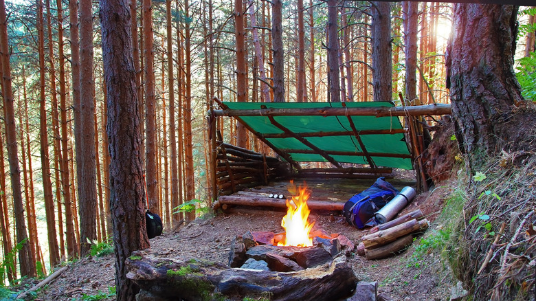 A shelter with logs and tarp