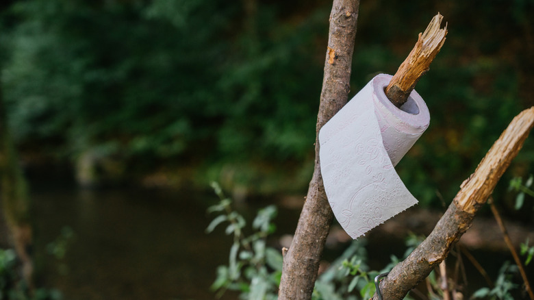 Toilet paper on tree limb