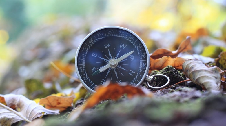 A compass sitting in fall leaves