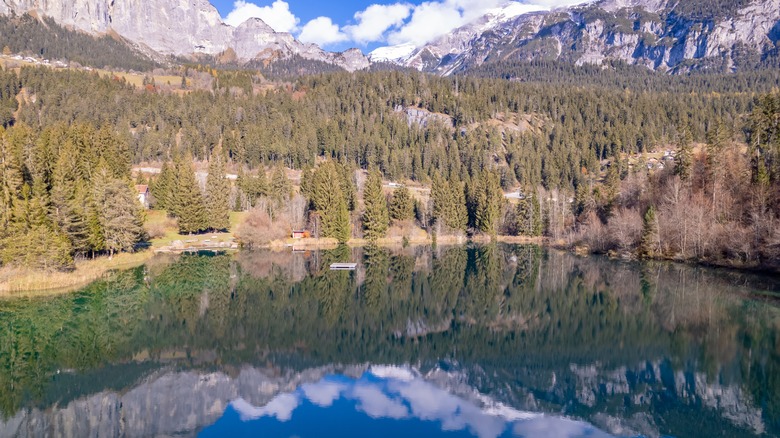 Clear lake reflecting sky and trees