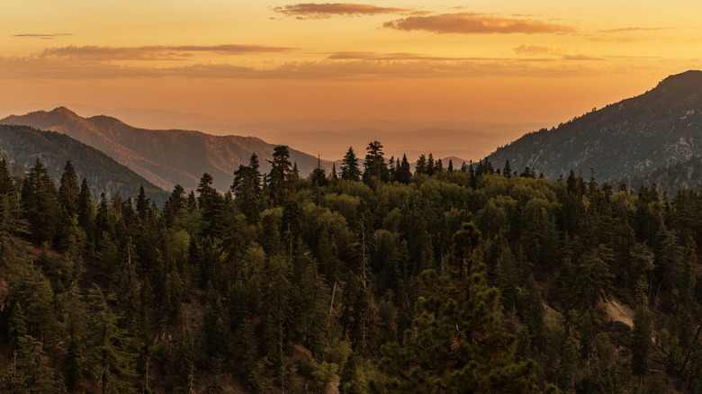 Aerial view of San Bernardino National Forest at sunset