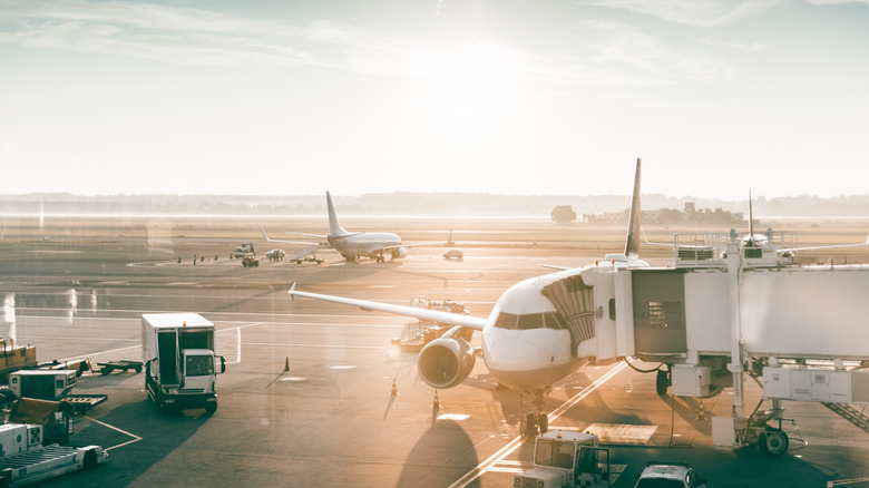 airplane at gate in the morning