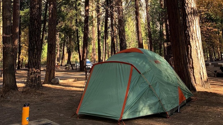 tent in forested campground