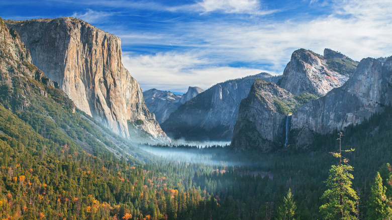 granite cliffs above forest