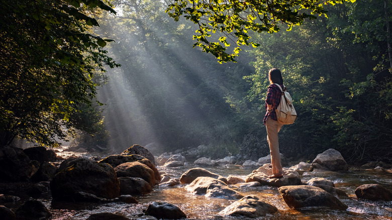 person standing alone near river