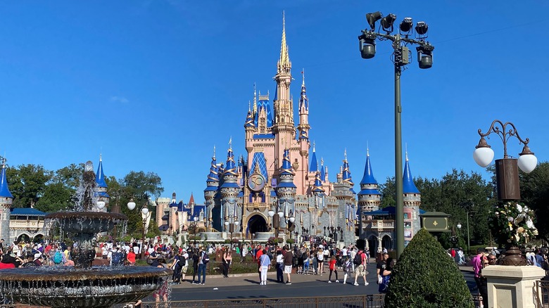 Cinderella's Castle from garden