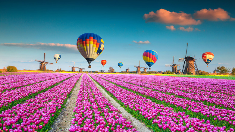 hot air balloon ride