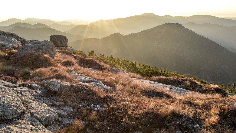 View from Mount Marcy