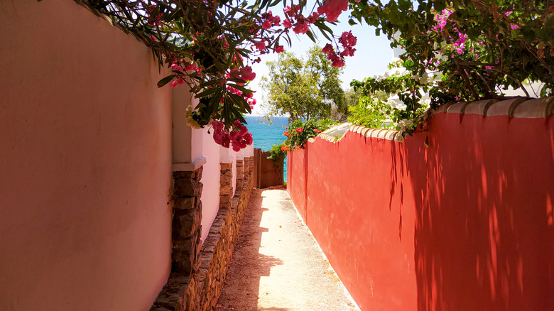 Colorful walls lead toward the sea in Los Caños de Meca