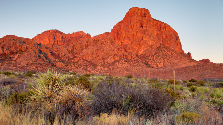 Big Bend's Chisos Mountains