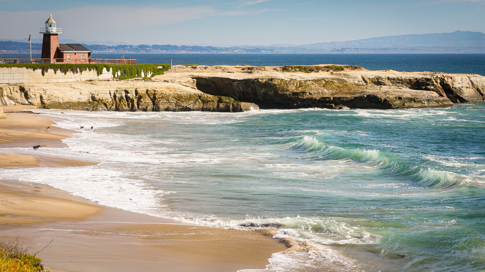 Spot Beautiful Butterflies At This Stunning California Beach State