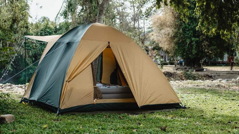 tent in grassy campground