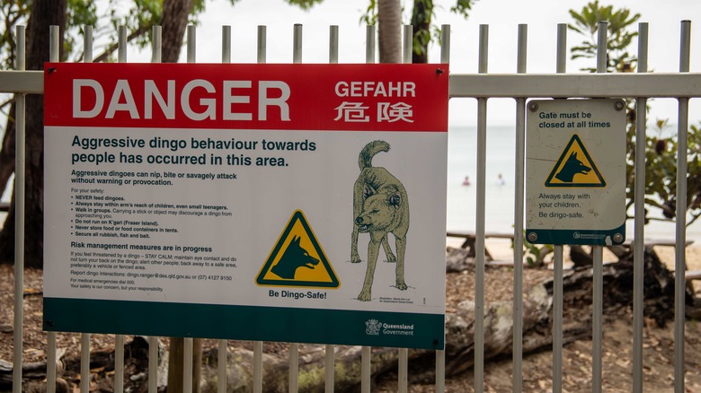 Warning signs on K'gari