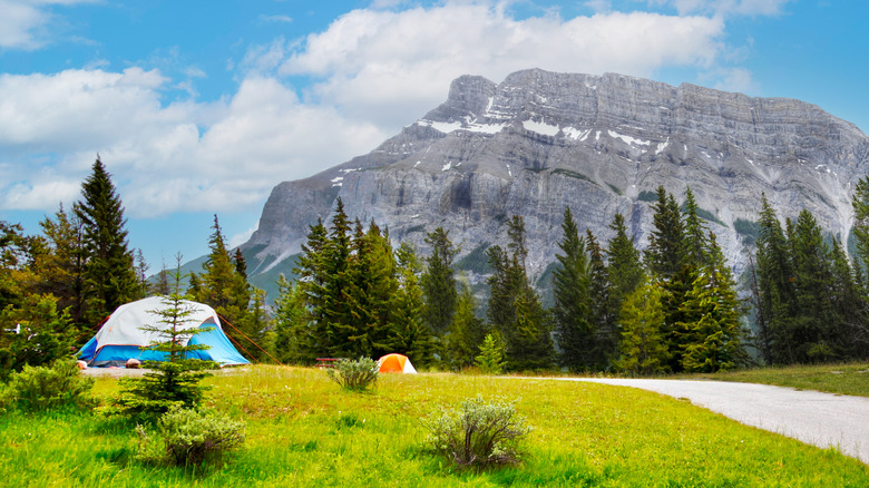 Tents at Tunnel Mountain Campground in Banff, Canada