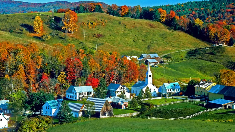 Green hills autumn leaves